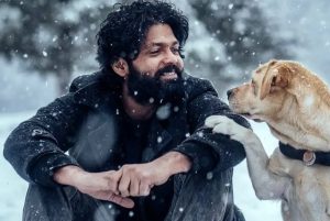 777 Charlie Subtitles